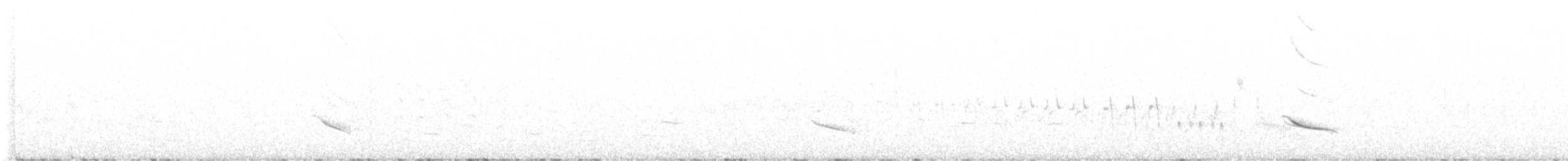 Азорский снегирь - ML606425421