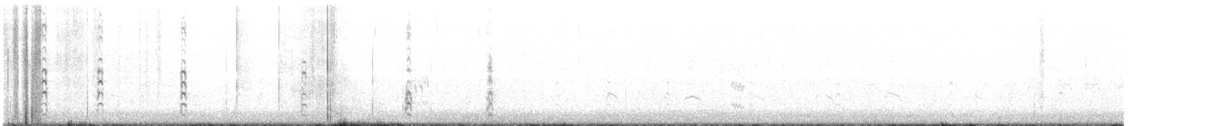 Black-necked Stilt (Black-necked) - ML606442781
