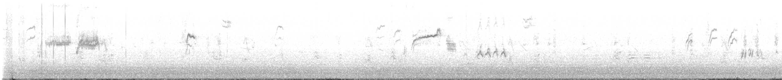 Troglodyte de Bewick - ML606443521
