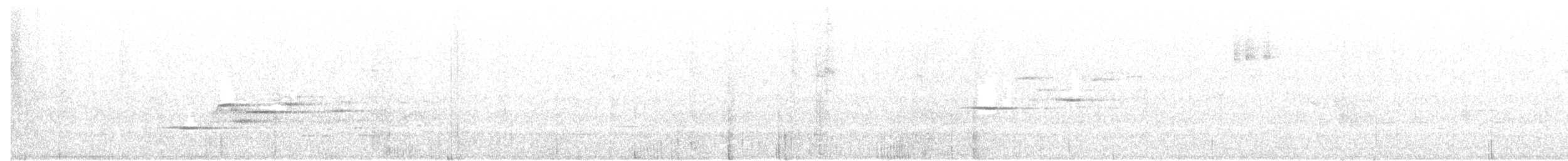 Дрізд-короткодзьоб плямистоволий - ML60645361