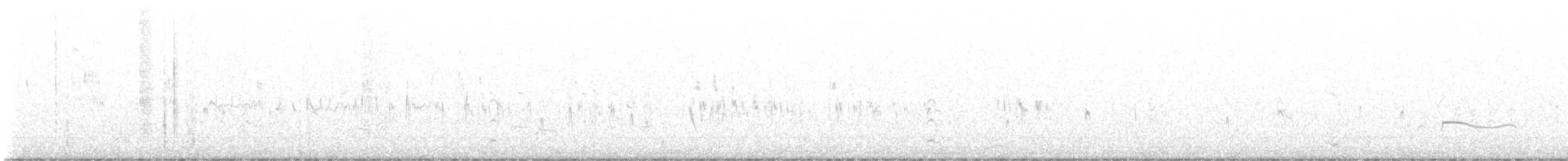 Black-bellied Plover - ML606461691