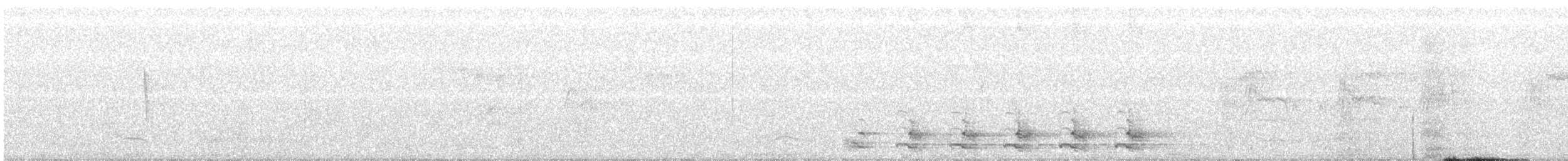 Trogon élégant (groupe ambiguus) - ML606504001