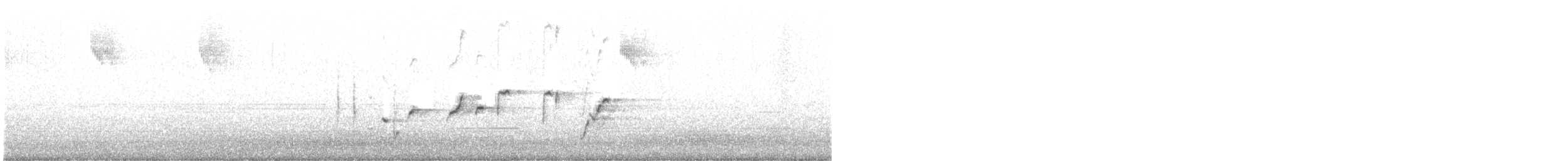 Чёрно-белая веерохвостка - ML606526351