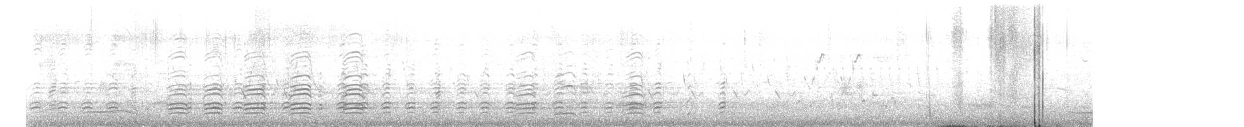 シロハラウミワシ - ML606528131