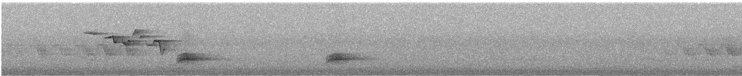 Brown Creeper - ML60656671