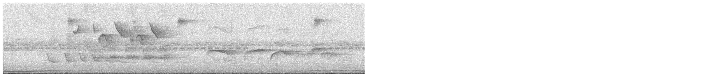 Бекард рябокрилий - ML606601011