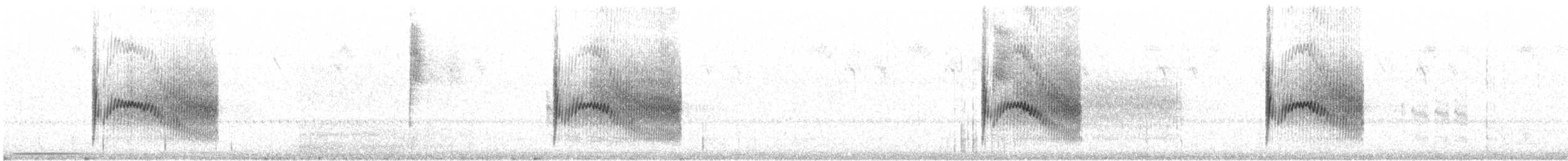 Kaya Çıtkuşu - ML606603101