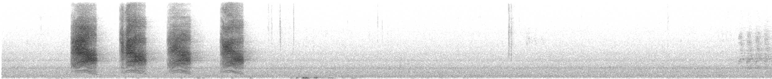 Chara de Steller - ML606608201