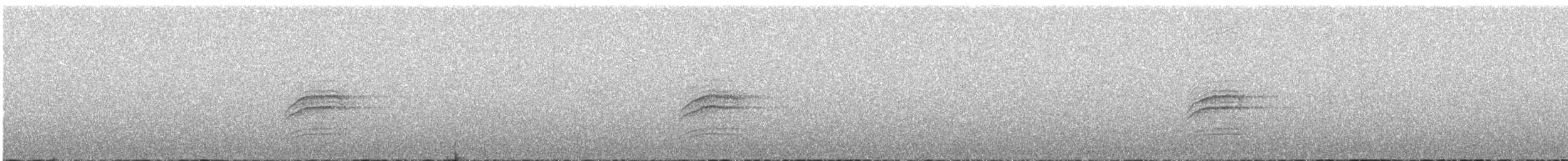 Дрізд-короткодзьоб плямистоволий (підвид faxoni/crymophilus) - ML606649661