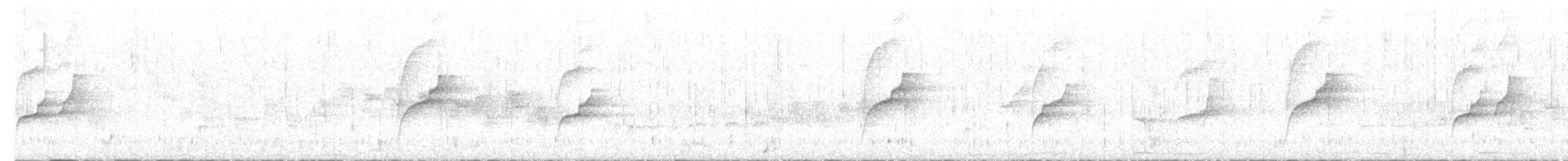 Weißbrauen-Dickichtschlüpfer - ML606667351