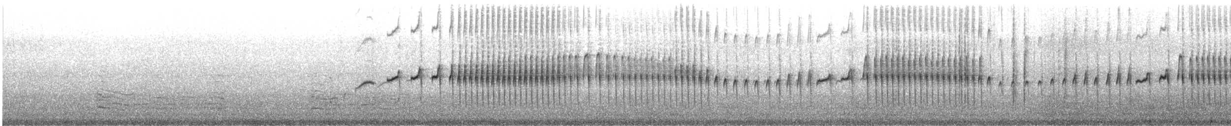 Cinclode à ventre sombre - ML606734971