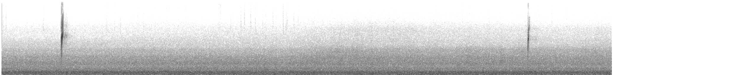 Трясохвіст сіробокий - ML606735071