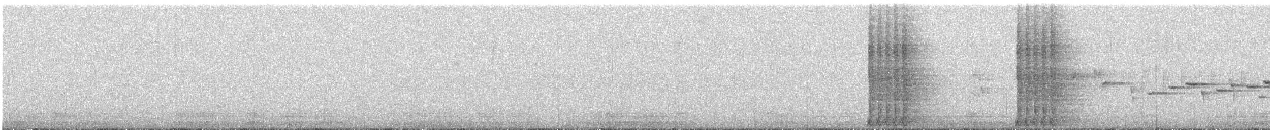 Brown Sicklebill - ML606739401