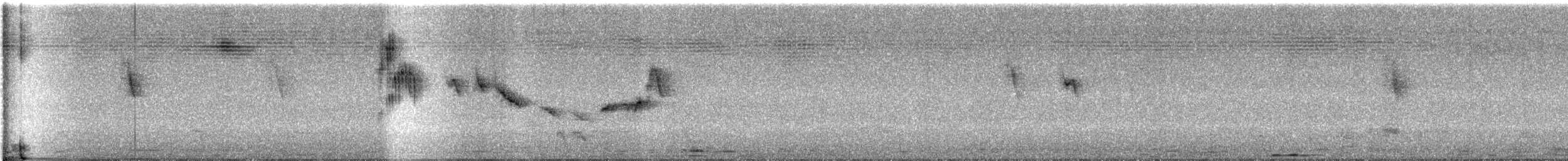 インドチャイロツバメ - ML606758061