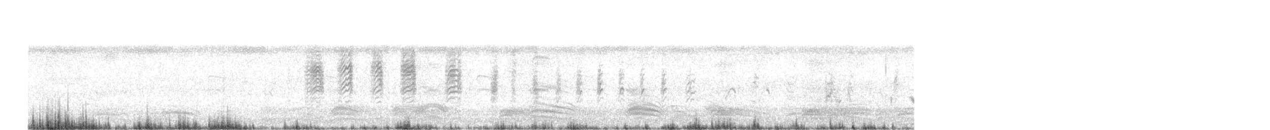 Ashy Woodswallow - ML606760861