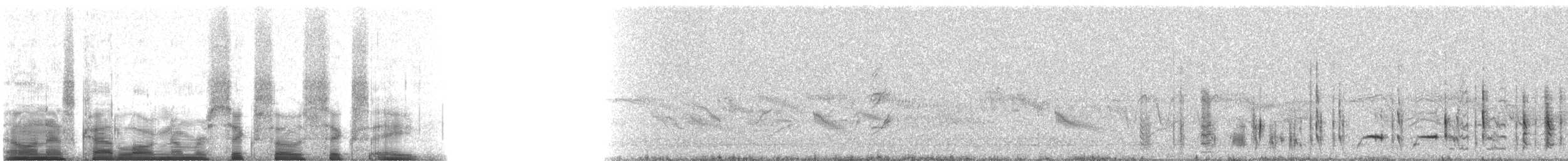 Picchion cramoisi - ML6068