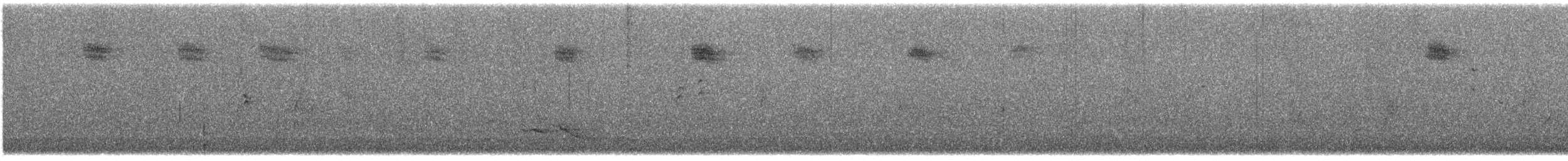 Spotted Flycatcher - ML606812521