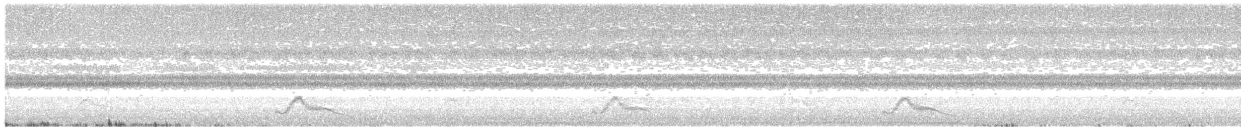 Pauraquenachtschwalbe - ML60681371