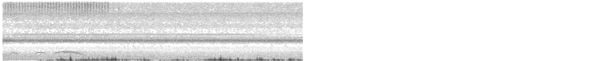 Pauraquenachtschwalbe - ML60681501