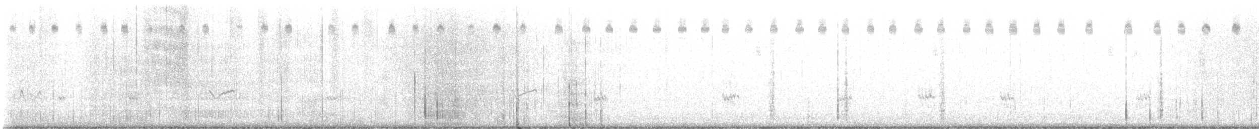 Chorlitejo Semipalmeado - ML606833621