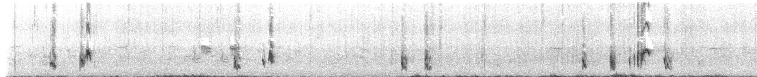Galápagosspottdrossel - ML606851101