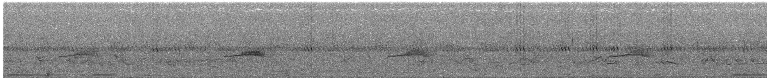 Western Wood-Pewee - ML60688031