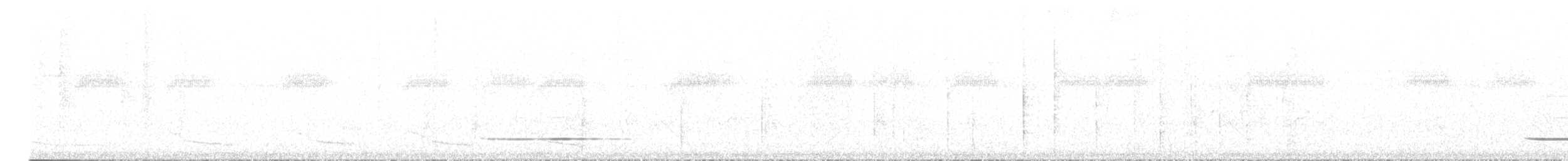 Серый скрытохвост - ML606883811