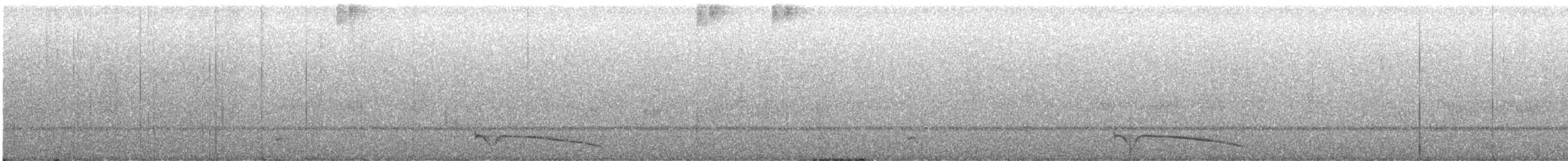 Great Eared-Nightjar - ML606917391