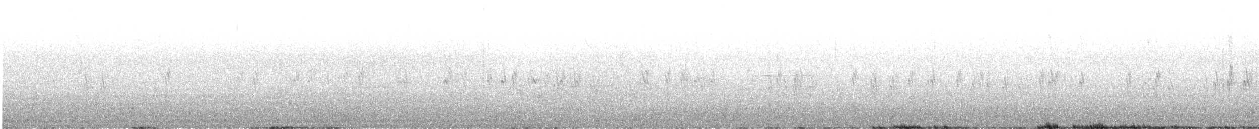 Crociere comune - ML606923201