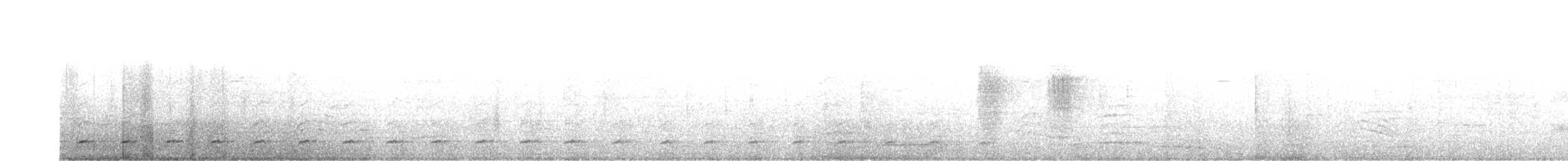 Chevêchette australe - ML606927511