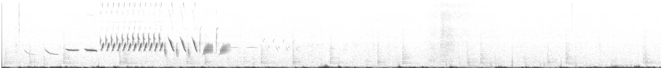 オジロヒメドリ - ML60695221