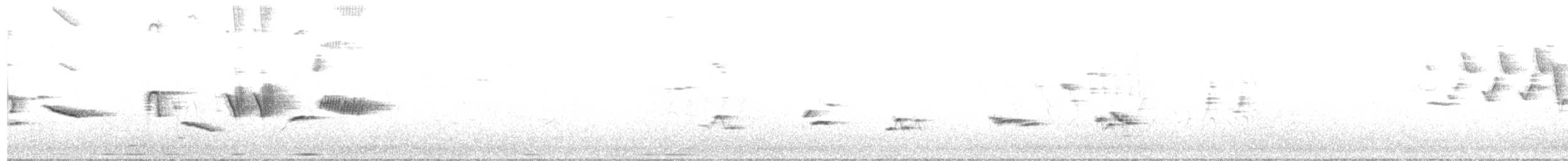 Пестрогрудая овсянка [группа schistacea] - ML60697231