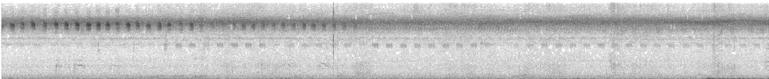 sulawesislørugle - ML606981721