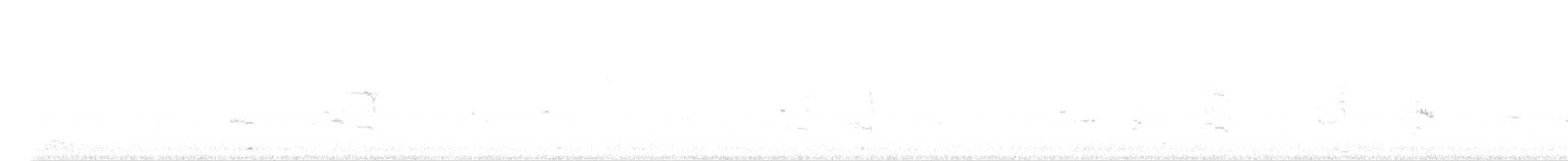 Uzun Kanatlı Kumkuşu - ML606992131