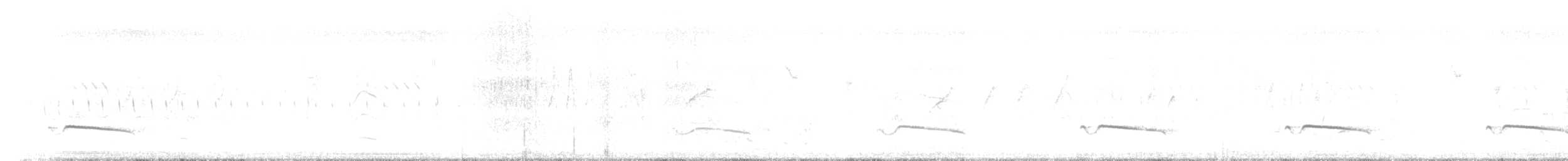 Gray-bellied Cuckoo - ML607013591
