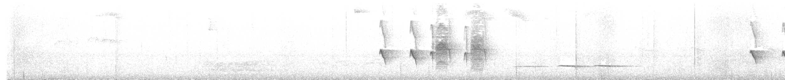 Strichelkopf-Ameisenfänger - ML607101051