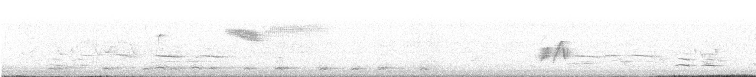 lesňáček modrokřídlý - ML60710971