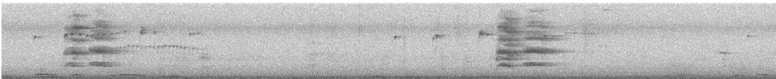 Parrocchetto nanday - ML607145951