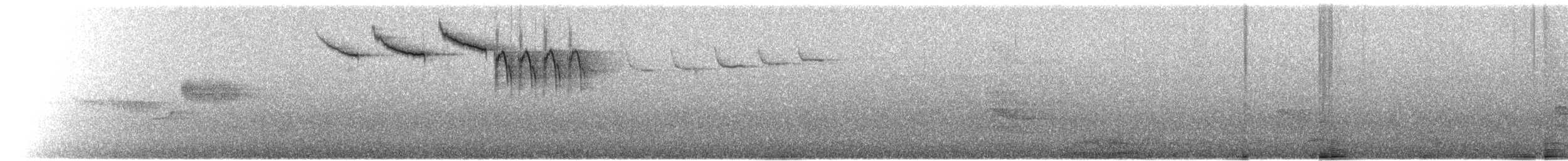 Fichtenwaldsänger - ML60716691