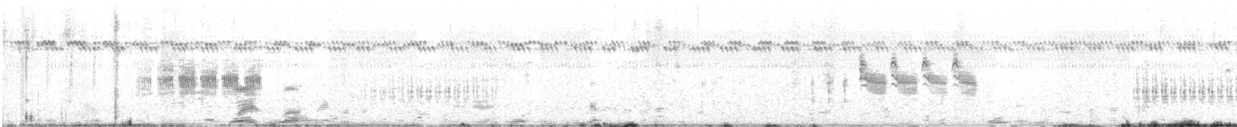 Troglodyte de Latham - ML607188461