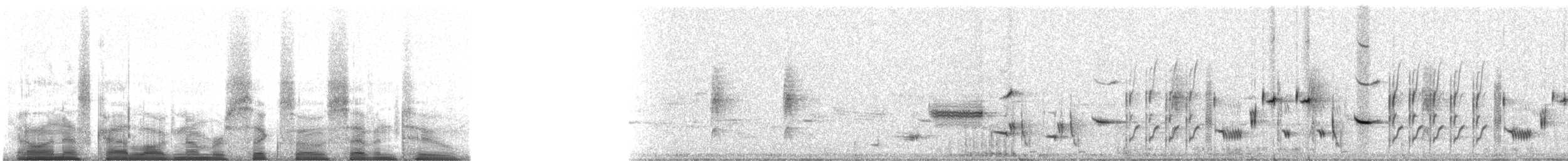 Picchion cramoisi - ML6072