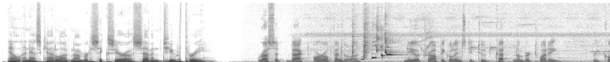 セアカオオツリスドリ（oleagineus） - ML60723