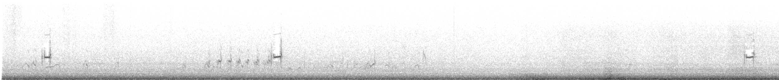 Semipalmated Plover - ML607236831