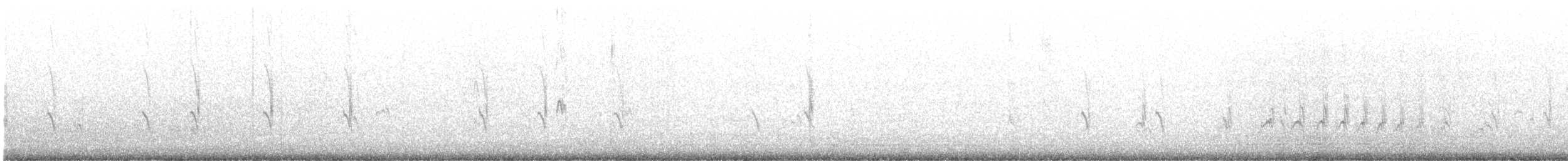 Semipalmated Plover - ML607236851
