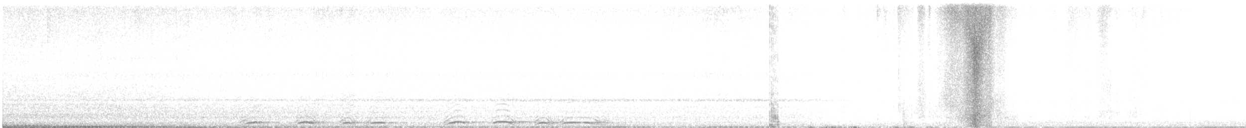 Chouette rayée - ML607341601
