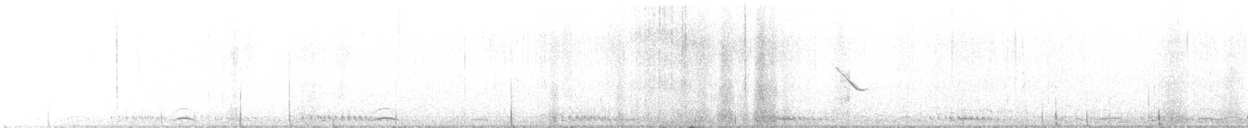 Cygne siffleur - ML607385601
