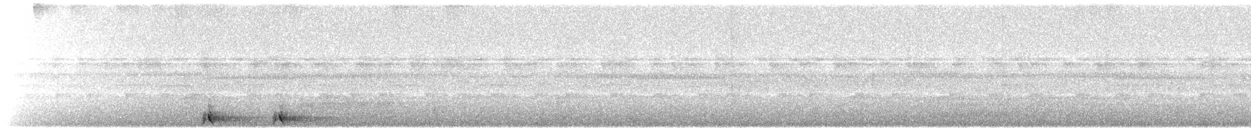 Сулавесская иглоногая сова - ML607434921