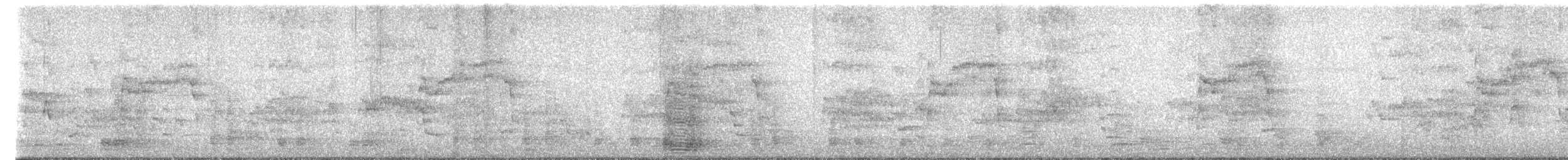 Ібіс молуцький - ML607449631