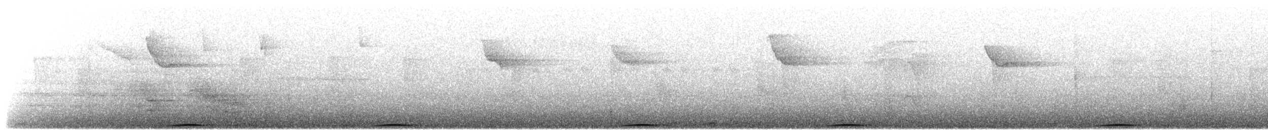 Султанская кукушковая горлица [группа albicapilla] - ML607452231