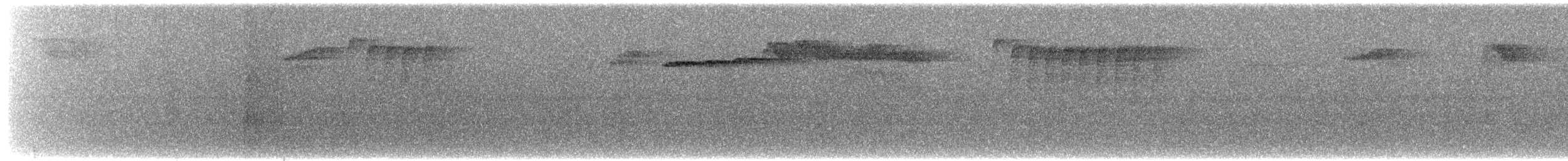 Dicée des Célèbes - ML607452281